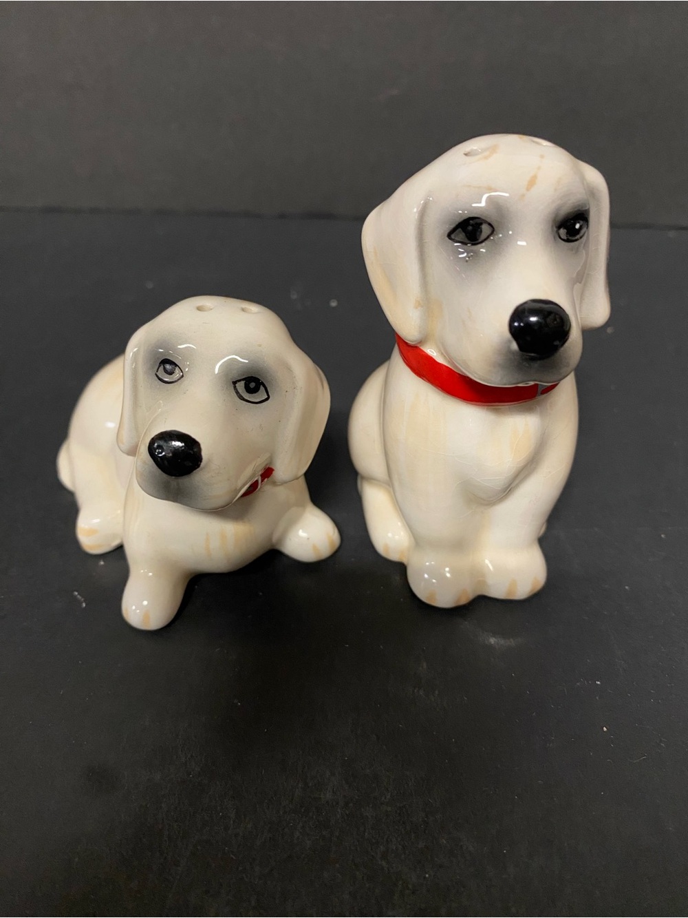 Ceramic Pioneer Woman Vintage Lucy & Duke Salt and Pepper Shaker Set